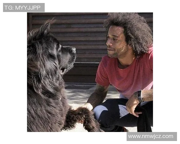 尼玛尔等五大足球球星姓尼盘点 揭秘他们背后的传奇故事 尼玛尔等五大足球球星姓尼盘点 揭秘他们背后的传奇故事