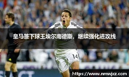 皇马签下球王埃尔南德斯，继续强化进攻线